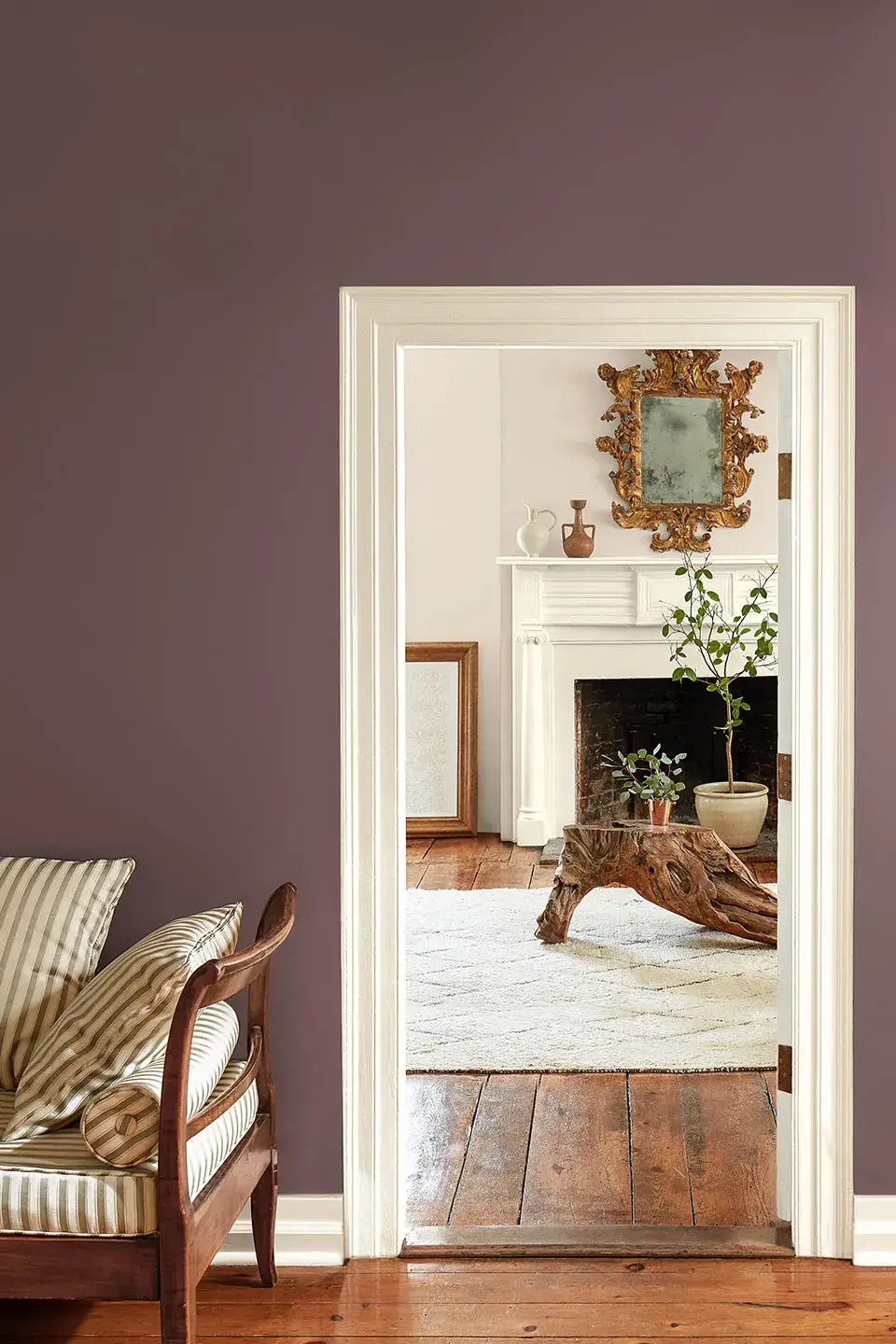 doorway benjamin moore color of the year 2025 cinnamon slate nordroom
